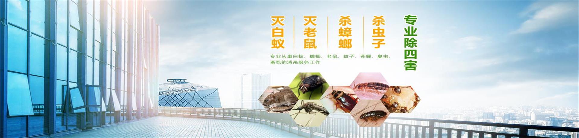 白蟻防治
