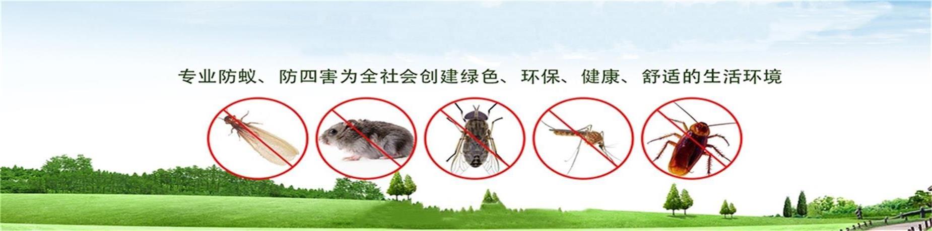 珠海白蟻防治