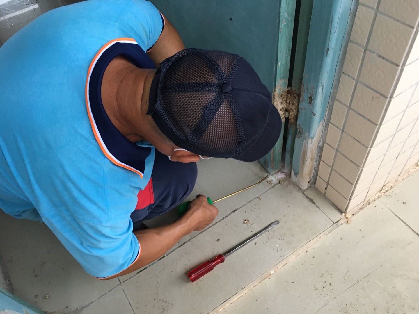 珠海白蟻防治