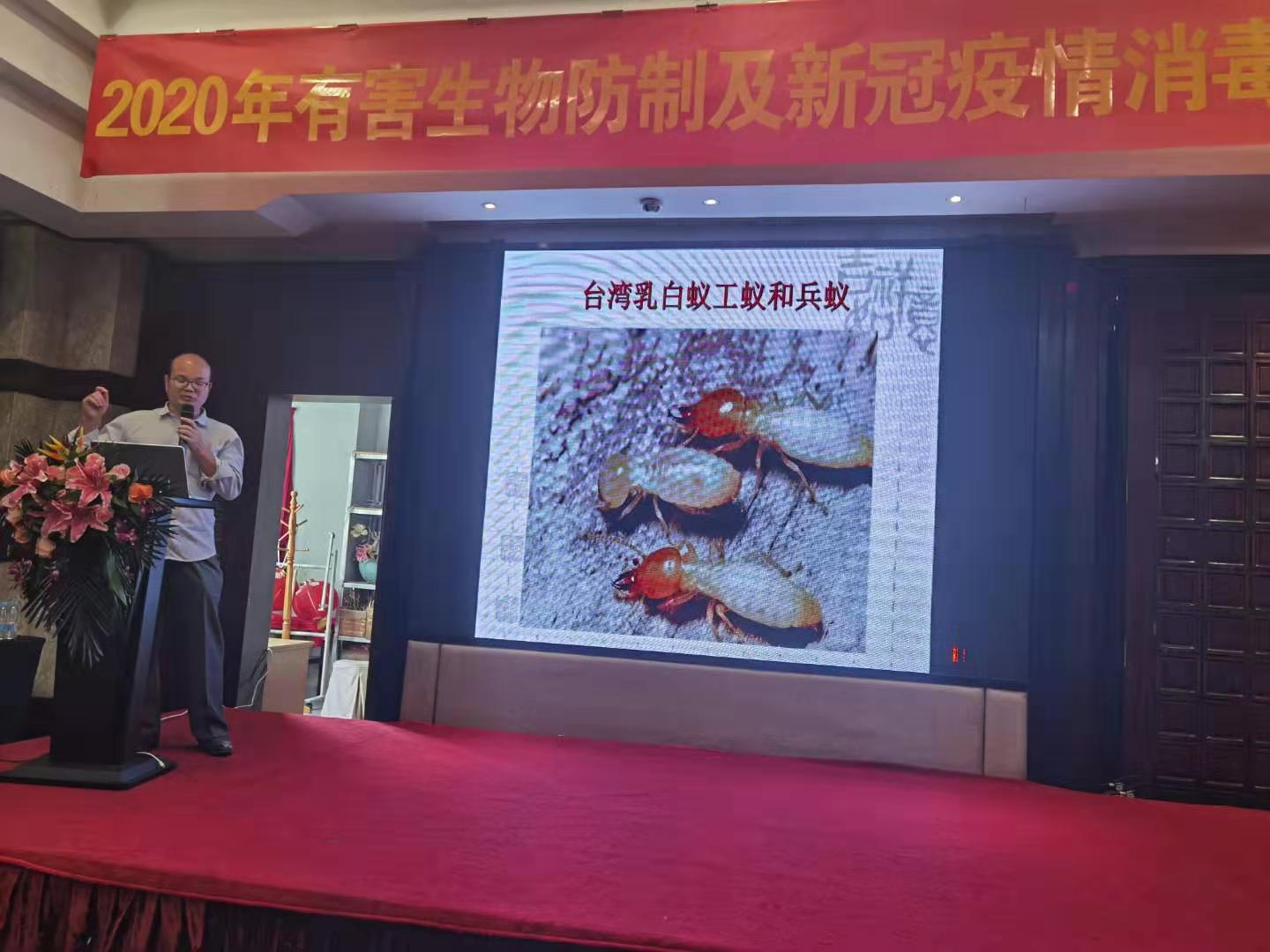 珠海白蟻防治